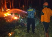 Hutan Pohon Jati Balapulang Kebakaran