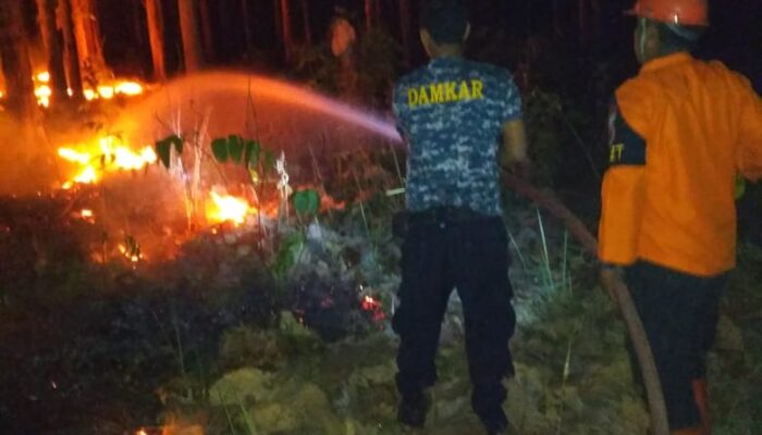 Hutan Pohon Jati Balapulang Kebakaran