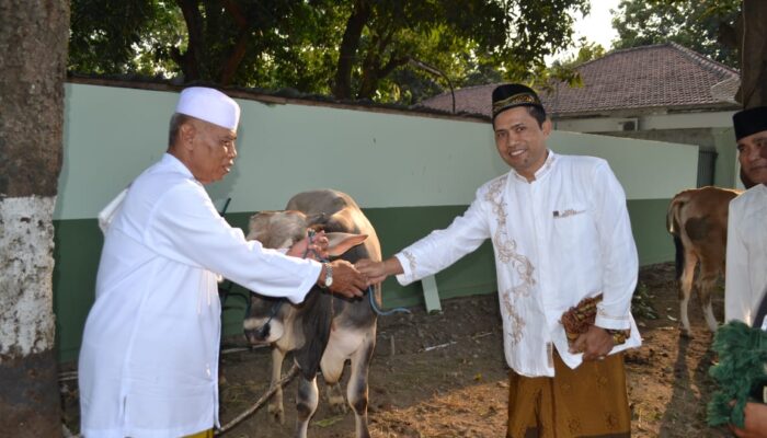 Kodim 0712 Tegal Kurban 2 Ekor Sapi dan 2 Ekor Kambing