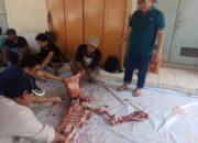 BI Tegal Kirim Hewan Kurban ke Lombok NTB