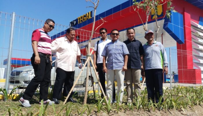 IKBT Akan Menyulap Jalan Tol Brebes – Pemalang Menjadi Rindang