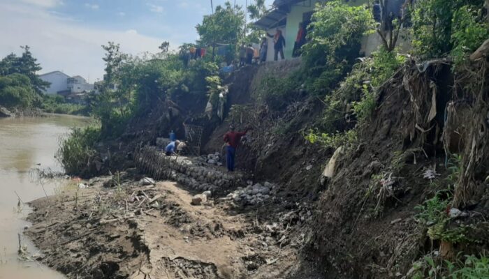 Kunjungi Bencana Longsor di Adiwerna, Dewi Aryani: Saya akan Hubungi Direktur DAS