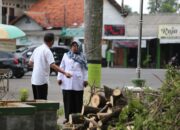 Potong Pohon Trembesi di GOR Trisanja Tanpa Izin, Bupati Tegal Marah