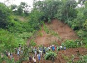 Seorang Petani Tewas Tertimbun Tanah Longsor di Bumijawa.