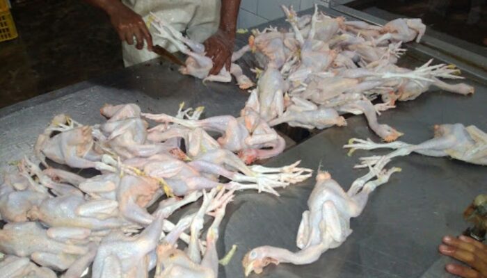 Jelang Tahun Baru, Harga Ayam Potong di Kabupaten Tegal Alami Kenaikan