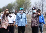 Hebat, Brebes Bakal Jadi Pusat Pembibitan dan Pengembangan Mangrove Skala Besar