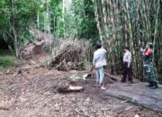 Hujan Deras, Tanah Gerak Kembali Terjadi di Wilayah Sirampog Brebes