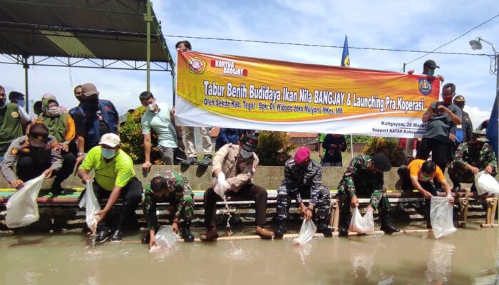 Hebat, Karang Taruna Kaligayam Sulap Kali Jadi Kolam Budidaya Ikan