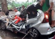 Kronologi Tewasnya 4 Orang Akibat Mobil Tertimpa Pohon Tumbang di Pemalang