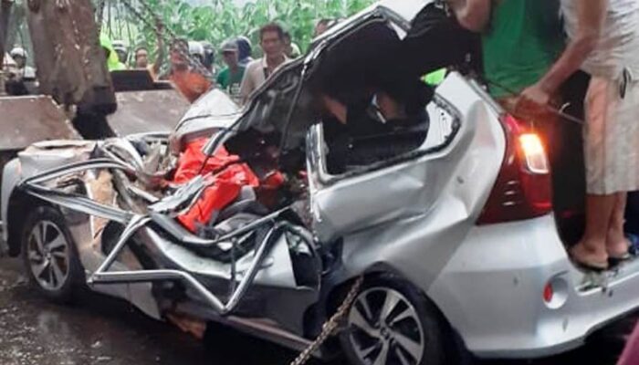 Kronologi Tewasnya 4 Orang Akibat Mobil Tertimpa Pohon Tumbang di Pemalang