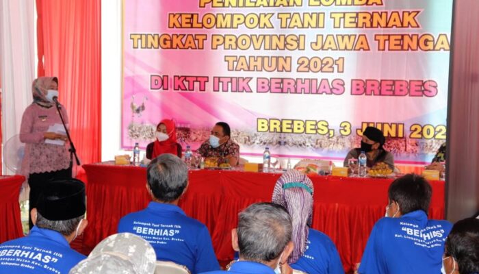 Jadi Icon Brebes, Bupati : Jaga Kualitas dan Kelestarian Telor Asin Brebes