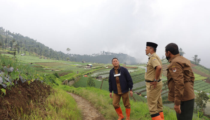 Antisipasi Banjir Bandang dan Longsor, RPH 19 Petak Dawuhan Brebes Dikonservasi