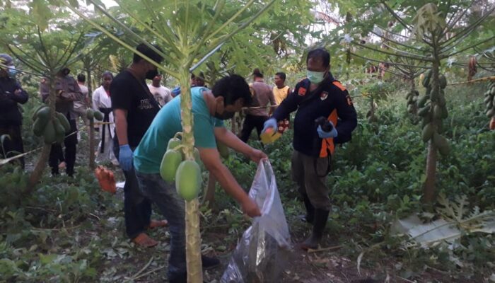 Identitas Kerangka Manusia di Kendal Serut Pangkah Terkuak