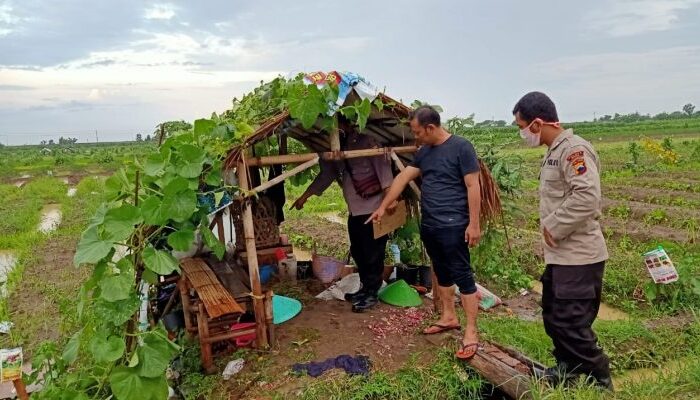 Berteduh di Gubuk, 2 Petani Warga Desa Sutamaja Kersana Tewas Tersambar Petir