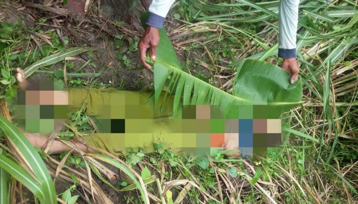 Turini Petani Asal Desa Limbangan, Kersana Ditemukan Tewas di Kebun Tebu