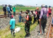 Lagi Cari Rumput, Petani di Brebes Tewas Tersambar Argo Anggrek