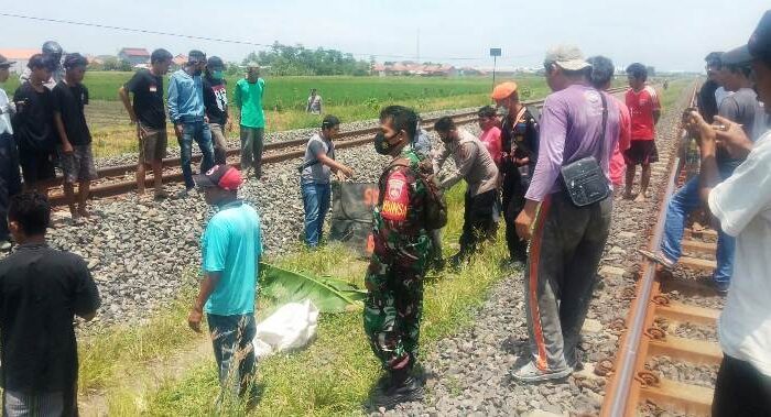 Lagi Cari Rumput, Petani di Brebes Tewas Tersambar Argo Anggrek