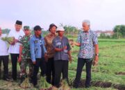 Petani Brebes Wadul ke Ganjar, Tanaman Bawang Kurang Bagus dan Pupuk Sulit Didapat