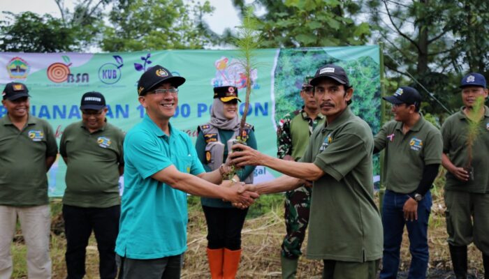 Pemkab Tegal Perluas Tutupan Lahan Melalui Penanaman 15 Ribu Bibit Pohon Pinus