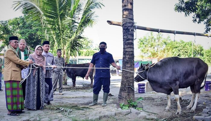 Idul Adha Jadi Momen Tingkatkan Ketakwaan