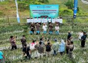 Konvergensi Pasar Mendongkrak Penjualan Bawang Putih Lokal