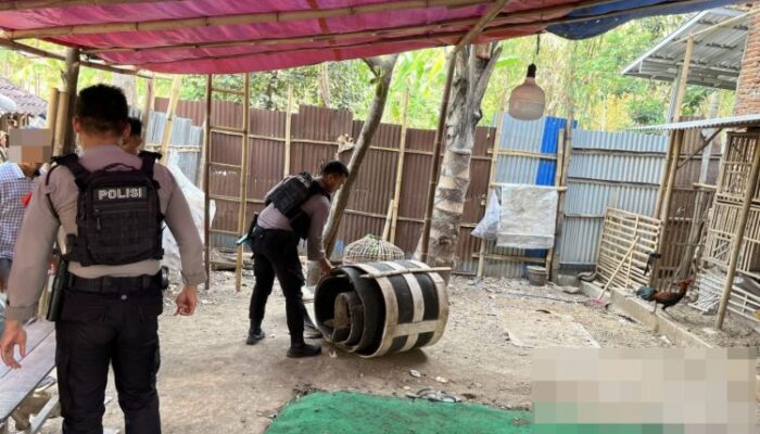 Polisi Tangkap Pelaku Judi Sabung Ayam di Pagerbarang Tegal