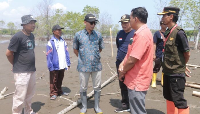 Jadi Langganan Banjir Rob, Pjs Bupati Pemalang Tinjau Desa Blendung