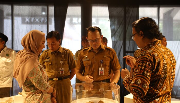 Pameran Gigantopithecus, Kera Raksasa Terbesar di Asia Tenggara ada di Tegal