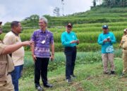 Warga Terdampak Tanak Gerak di Sridadi Brebes Segera Miliki Hunian Tetap