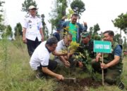 Pulihkan Lahan Hutan Lindung, 136 Ribu Bibit Pohon Endemik Ditanam di Desa Sigedong Bumijawa