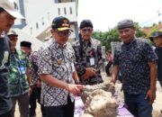 Fosil Gajah Purba Sinomastodon Bumiajuensis di Desa Galuh Timur Brebes Tarik Perhatian Peneliti Asal Luar Negeri