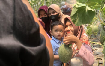 Petani Makin Terbantu, Inovasi TMU Dapat Pengakuan dari Bappedalitbang Kabupaten Tegal