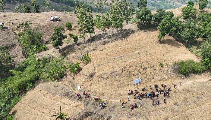 Pulihkan Lahan Kritis DAS Cacaban, Pemkab Tegal Tanam 25 Ribu Bibit Pohon