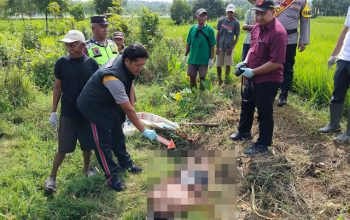Seorang Buruh Tani di Karanganyar Pekalongan Meninggal Mendadak di Sawah Saat Hendak Memindahkan Bibit