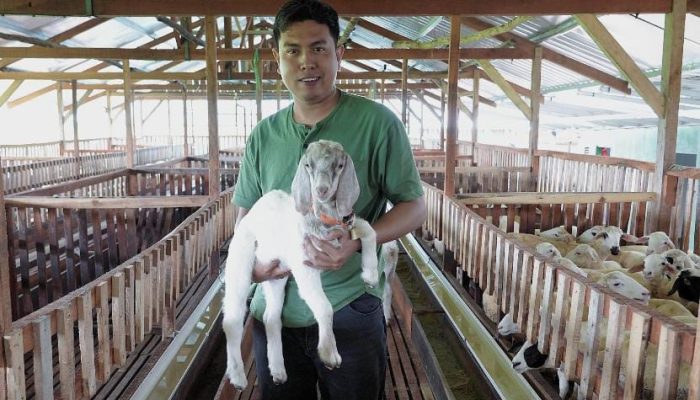Mahasiswa TMU Sukses Jadi Peternak Kambing