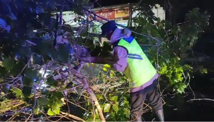 Polsek Sragi dan Warga Evakuasi Pohon Tumbang di Desa Wonosari