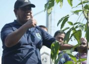 Wabup Kholid Canangkan Satu Rumah Satu Pohon, Ajak Warga Hijaukan Bumi