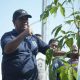 Wabup Kholid Canangkan Satu Rumah Satu Pohon, Ajak Warga Hijaukan Bumi